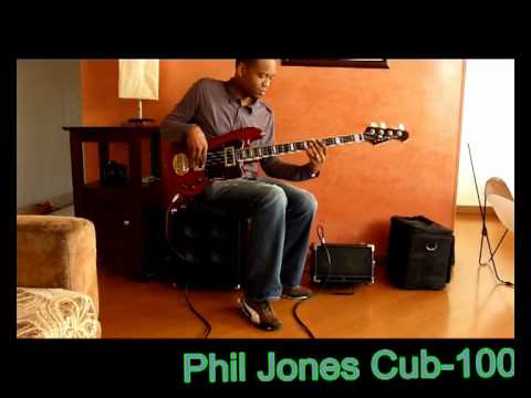 Phil Jones BG-100 Bass Cub 2x5 100w Combo BK image 13