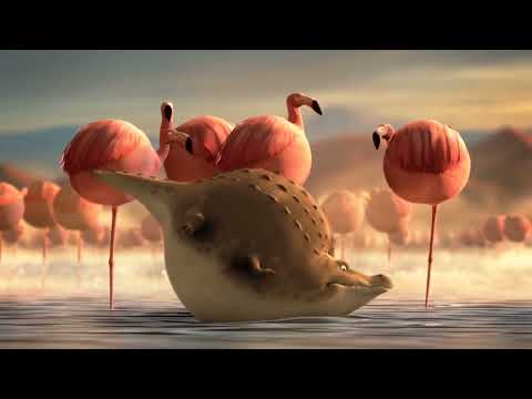 ROLLIN' WILD:what if animals were round?(compilation)