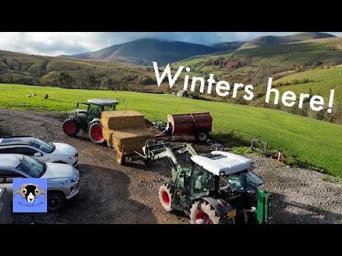 Farming Life S2E60: Winter Is Here! Carting straw and Bringing in the cows!