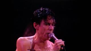 Iggy Pop - Winners &amp; Losers - 11/14/1986 - Ritz