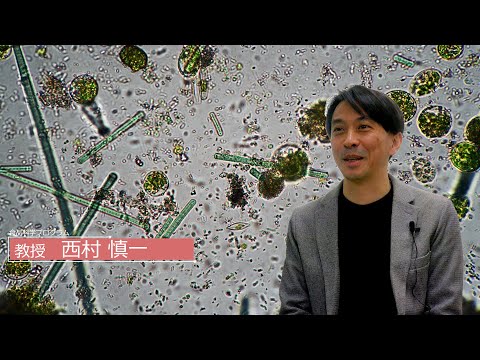 広島大学生物生産学部　教授に聞く　西村 慎一 教授
