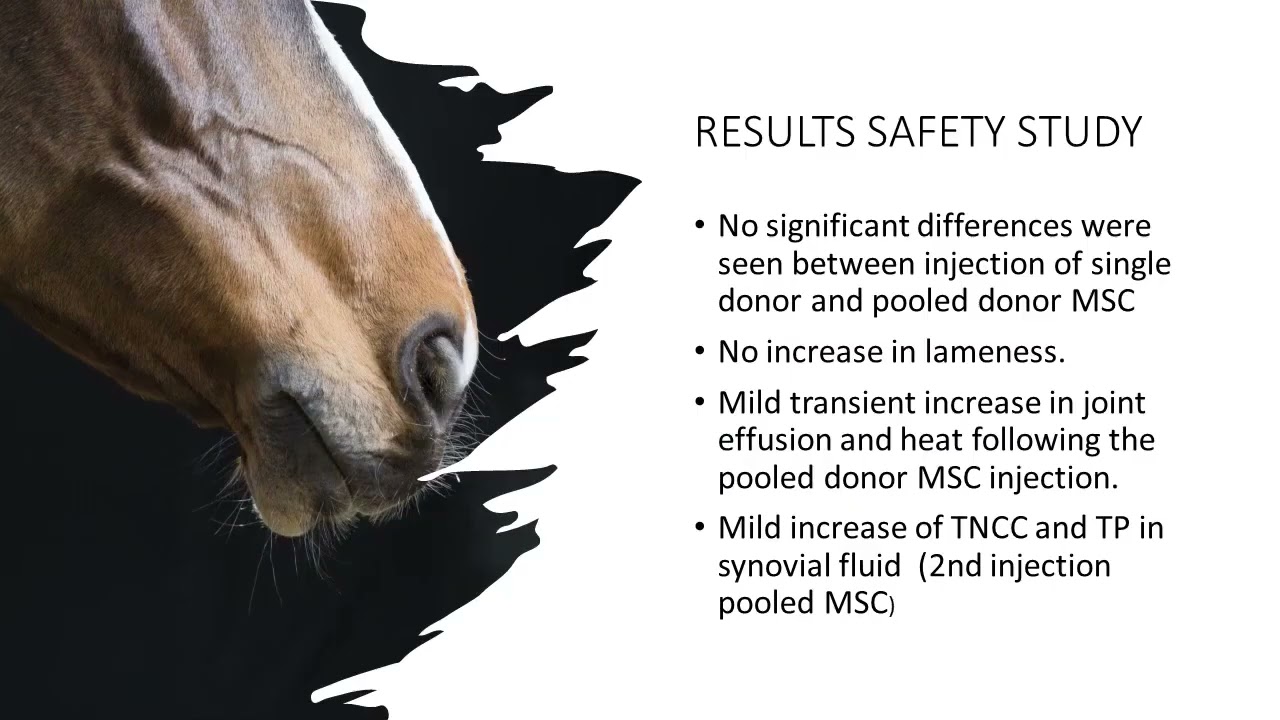Use of 10 or 20 Million Allogenic Mesenchymal Cells for Treatment of Synovitis in Horses