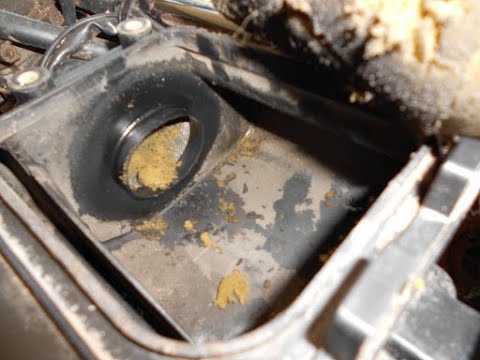 CFMOTO Air filter after 325 Miles