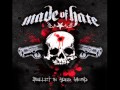 Made of hate- Fallout 