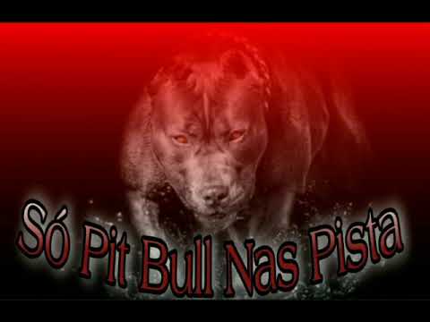 TH só pit bull nas pista Part. U-TIMATO 🚈