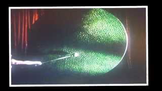 SANTANA &#39;BANG A GONG&#39; 2010 (a T.REX cover)