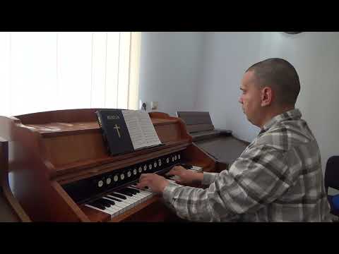 Bring Them In | Organist Bujor Florin Lucian playing on Romanian Reed Organ
