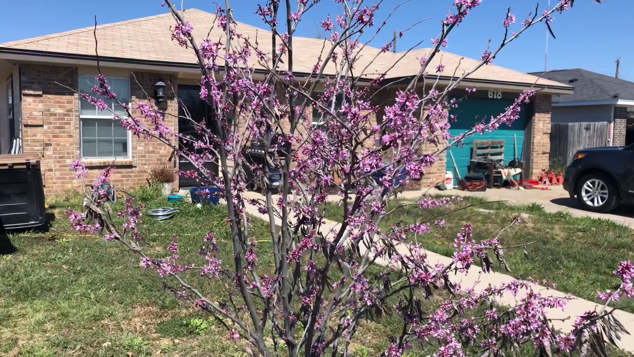 Static / slammed nb miata