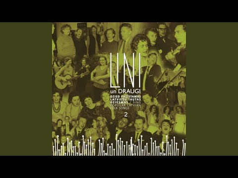 Ziedi, Ziedi Rudzu Vārpa