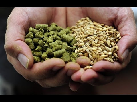 HBW 92 messing around in the kitchen