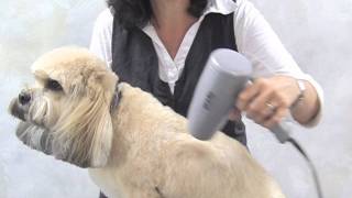 Easy Clip Quiet Aire