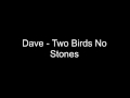 DAVE TWO BIRDS NO STONES LYRICS