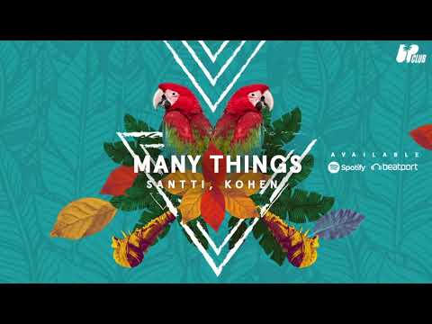 Santti, Kohen - Many Things (Original Mix)