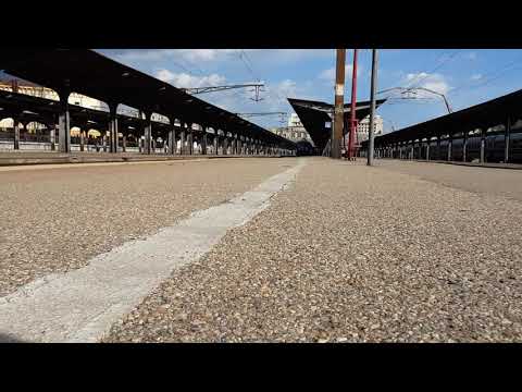 Puma 790 cu un mecanic de treaba