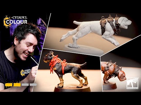 How to paint: Alternative Colours for Hounds | Intermediate | Warhammer