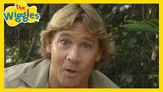 Old Man Emu - The Wiggles feat. Steve Irwin | Wiggly Safari | OG Wiggles