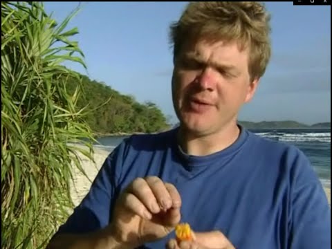 S02E06 Ray Mears Extreme Survival Desert Island Survival