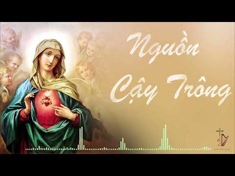 Nguồn cậy trông Sheet - Đình Bảo