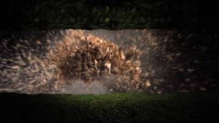 Here Come The Waves: The Hazards of Love Visualized Official Trailer