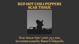 Red Hot Chili Peppers - Scar Tissue (แปลไทย)