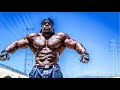 Back Workout - Kali Muscle