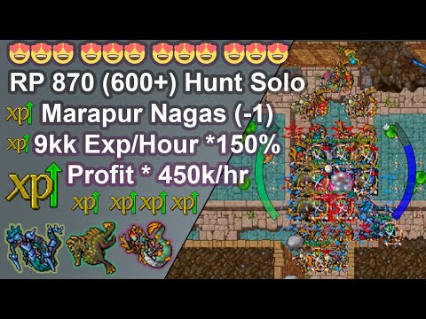 Tibia Royal Paladin 870 (600+) Solo Hunt / Marapur / Nagas (-1)9kk/hr Exp/Hour 150% Profit * 450k/hr