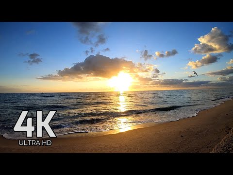 4K SUNRISE ON THE BEACH 60 FPS ULTRA HD MIAMI BEACH SOUTH BEACH RELAXATION AΩ