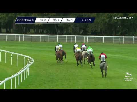 Nagroda Wielkiego Szlema 18.09.2022 - (Dzień 33; Gonitwa 8)