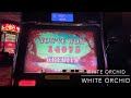 White Orchid Slot Machine - Max Bet 🎰