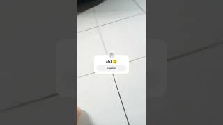 Download lagu www lagu lagu pop Sunda Rika aku mp3