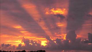 Trumpet Thing - La Sonadora