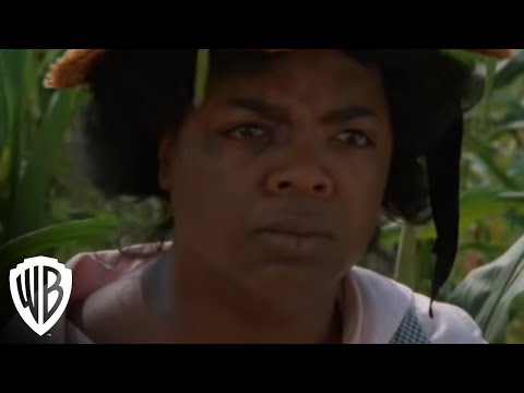 The Color Purple | "Fight My Whole Life" Clip | Warner Bros. Entertainment