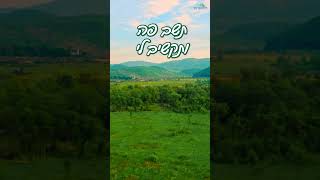 הוא בא לבית, הוא רוצה שאשתו תעמוד דום – הרב דוד פריוף בסגולה ל... (הרב דוד פריוף) - התמונה מוצגת ישירות מתוך אתר האינטרנט יוטיוב. זכויות היוצרים בתמונה שייכות ליוצרה. קישור קרדיט למקור התוכן נמצא בתוך דף הסרטון