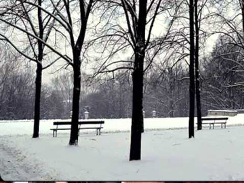 Warszawa jest smutna bez Ciebie - Darek Nowicki.wmv