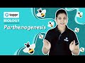 Parthenogenesis Reproduction In Organisms Class 12 Biology CBSE NCERT