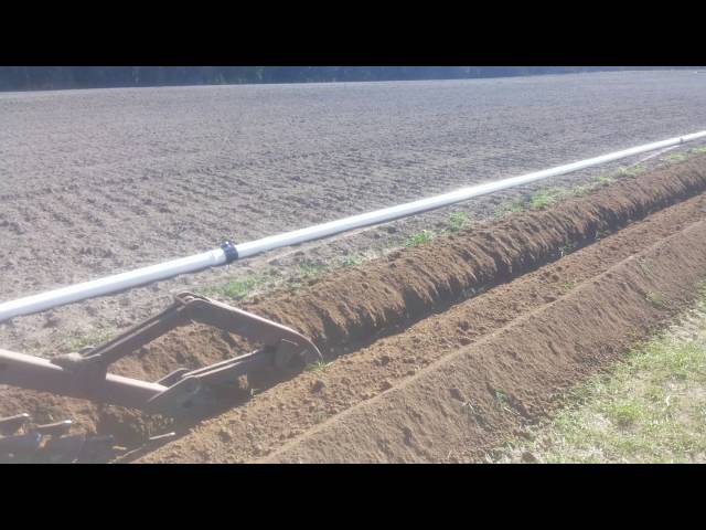 Bill Murray Trenching - Rosemount, QLD