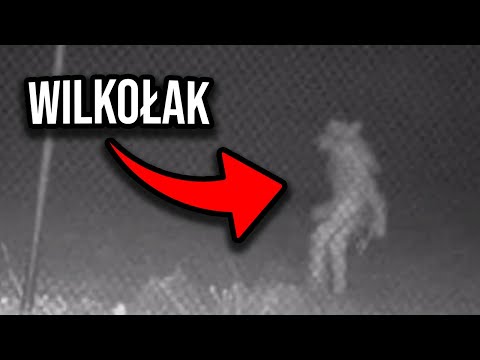 Werewolf Recorded at the Zoo! - 5 Paranormal Recordings!