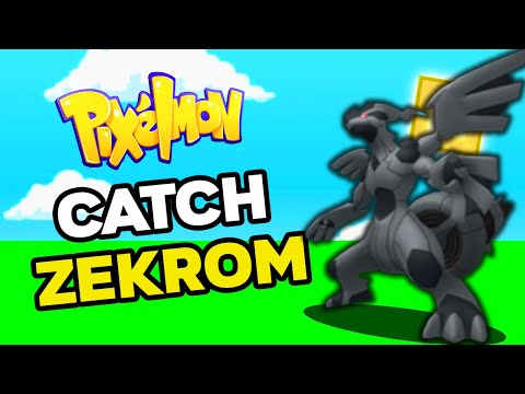 How to Find ZEKROM in PIXELMON Reforged 9.1.13!