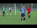 Final Friendly Alternative Wife Commentary