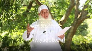 25 - الجزء الخامس والعشرون |( #قرآنا_عجبا )| الشيخ محمد حسين يعقوب image