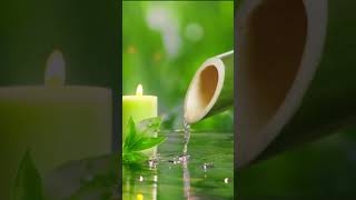 Relaxing Piano Music for Stress