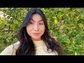 GRWM For A Family Party Rosayde