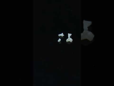 YouTube 썸네일