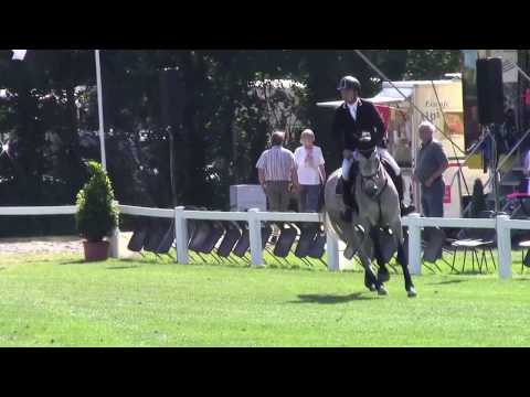 Barina *2009 Holsteiner mare by Cosido - Casall - Capitol