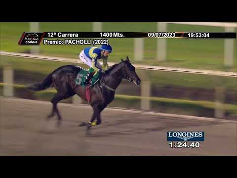 230709 c12  ICHABOD CRANE (BRZ)