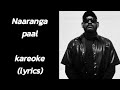 NARANGA PAAL KAROEKE Lyrics GABRI