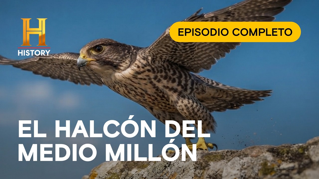 🦁 Los zoológicos más caros de la historia - Derrochadores Ancestrales - Episodio Completo