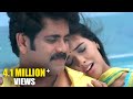 Shivamani Telugu Movie Yenaatiki Video Songs Nagarjuna Asin