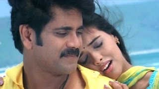 Shivamani Telugu Movie  Yenaatiki Video Songs  Nag