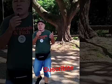 Zavalla Santa Fe Argentina #turismo #historia #viajar #paisaje